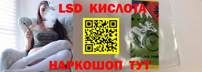 индика Сланцы