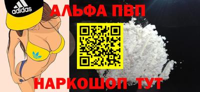 индика Сланцы