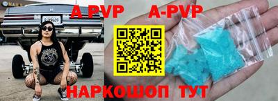 индика Сланцы
