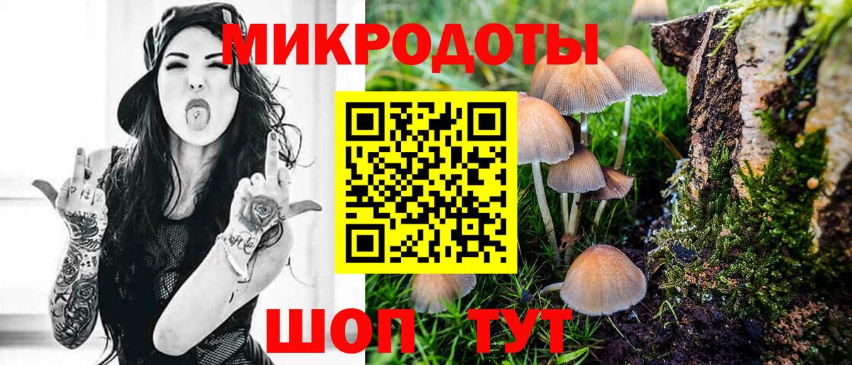 Псилоцибиновые грибы Psilocybe  Вход с VPN  Кызыл 